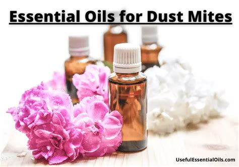 6 Best Essential Oils for Dust Mites (Evidence-Based)