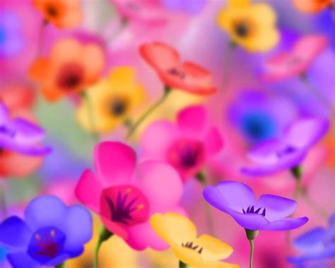 Colorful Flowers Desktop Backgrounds Wallpapers | Colorful Background ...