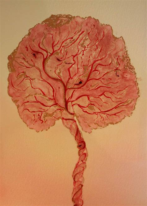 amazing placenta print | Birth art, Placenta, Tree of life