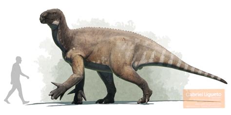 Iguanodon | Dinopedia | Fandom