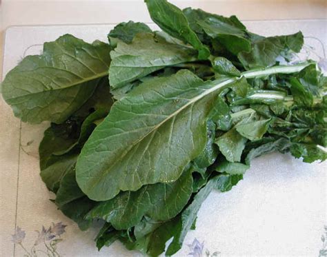 Turnip Greens - Ingredients Descriptions and Photos - An All-Creatures ...