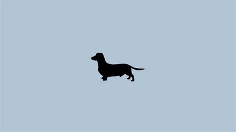 Minimalist Dog Wallpapers - Top Free Minimalist Dog Backgrounds ...