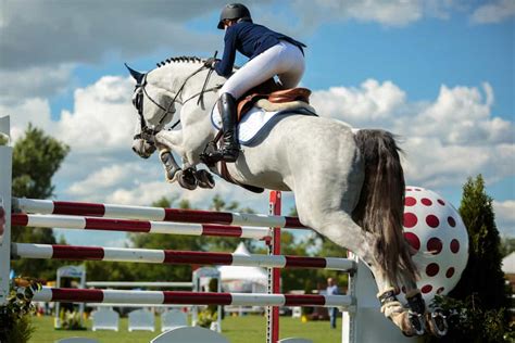 29 Horse Jumping Obstacles: Explained For Beginners – Equestrian Space