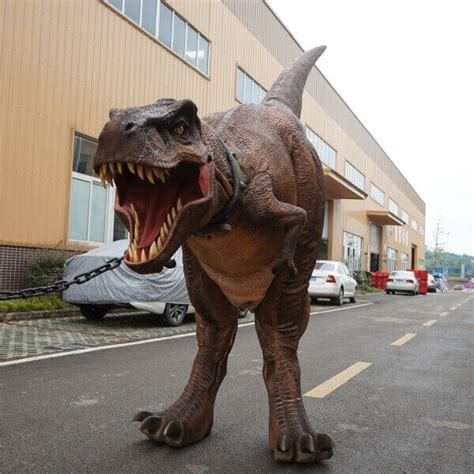 Realistic T-rex Costume-DCTR629