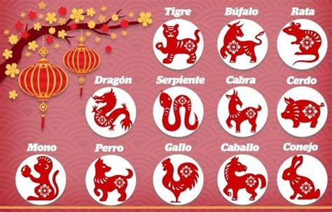 ¿Cómo saber cuál es mi signo en el horóscopo chino? - Tradupla