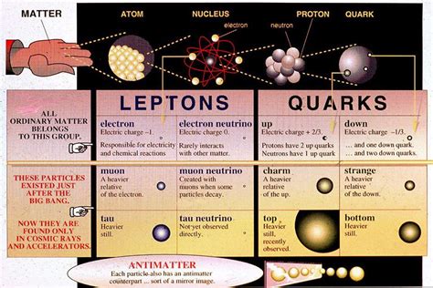 Lepton table - evehooli