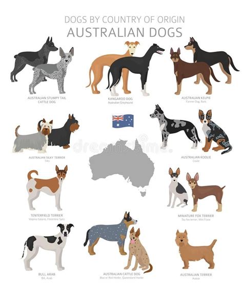 dogs by country of origin australian dogs