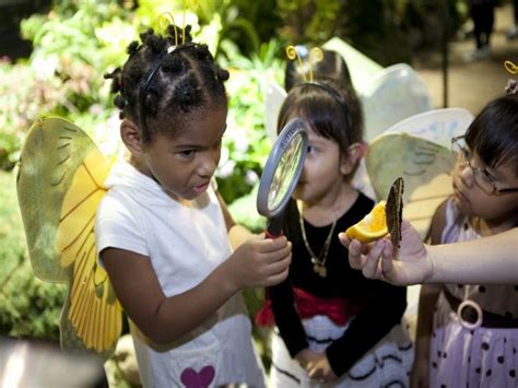 Butterfly Exhibit Mesmerizes at Natural History Museum | The Epoch Times