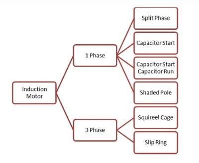 Types of Induction Motor - Electrical Concepts