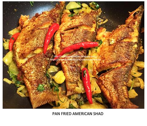 Pan Fried American Shad | Nadia's Easy Recipes