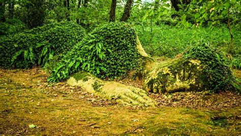 Living Sculptures at the Lost Gardens of Heligan Change with the Seasons