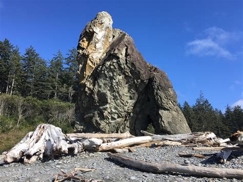 Nephilim Giants, Giant People, Rocky Creek, Turn To Stone, Giant Tree ...