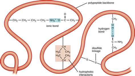 Proteins · Microbiology