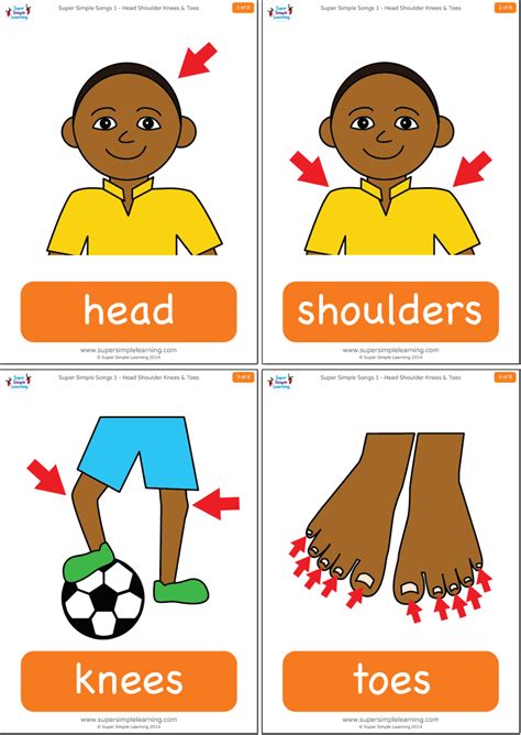 Head Shoulders Knees & Toes Flashcards | Super Simple