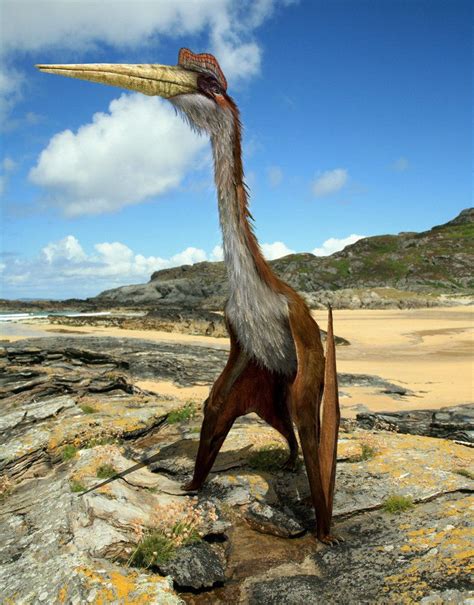 Quetzalcoatlus by Julian Johnson Mortimer on DeviantArt | Prehistoric ...