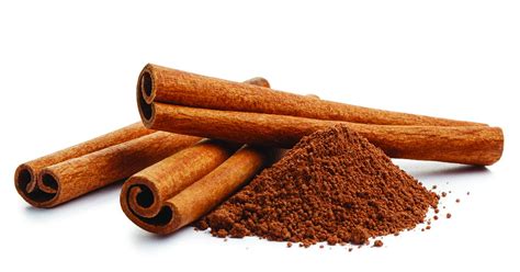 What Is Saigon Cinnamon? Top 6 Benefits & Uses - Dr. Axe