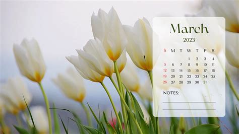 2023 Spring Wallpapers - Wallpaper Cave