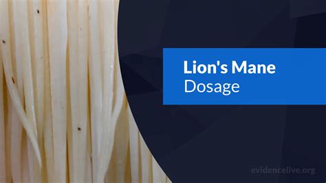 Lion's Mane Dosage: When To Take And How Much? - EvidenceLive