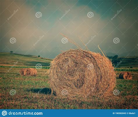 Landscape Hayfield with Hay Rolls , Sunrise Photography Stock Photo ...