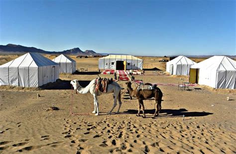 Camping in the Sahara Desert