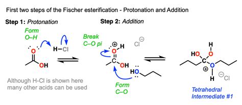 Esterification Mechanism