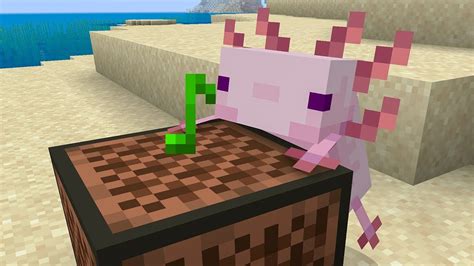 [最も好ましい] cute baby axolotl minecraft 270365 - Bestpixtajphpdo