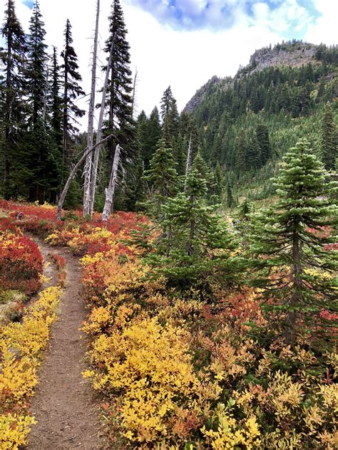 Fall colors on display in Washington State [OC] [4032x3024] : r/EarthPorn