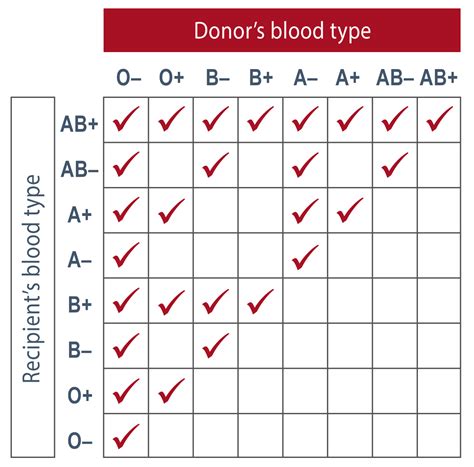 Introduction to Blood Types