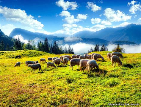 Spending time with the locals: Triglav National Park, Slovenia. Hawaii ...