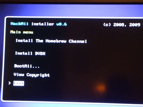 How to Make Your Wii Run Homebrew! : 5 Steps - Instructables