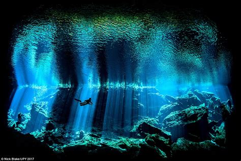 Mesmerising winners of the underwater photography awards | Daily Mail ...