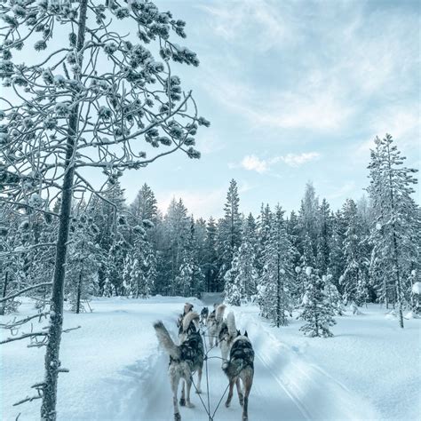 Things to do in rovaniemi finland in winter – Artofit