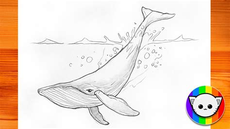 Whale Sketch