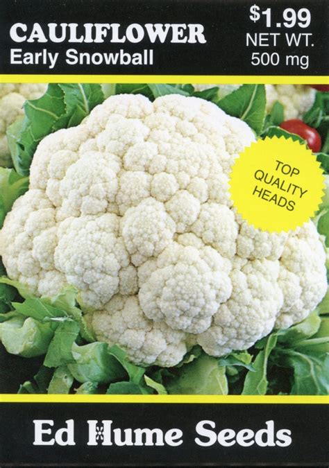 Cauliflower – Early Snowball – Hume Seeds