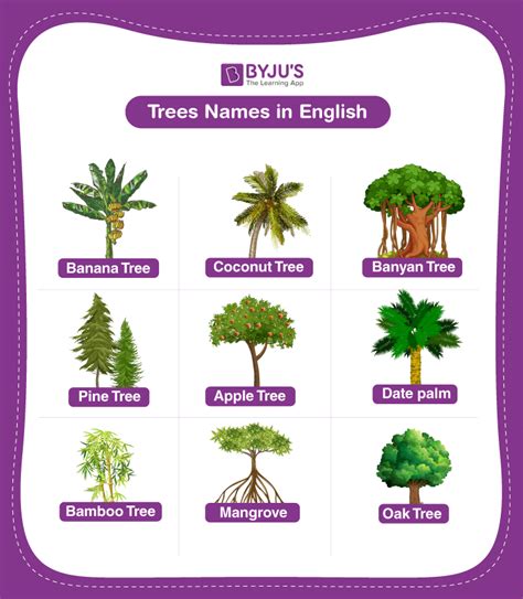 Common Names Of Trees