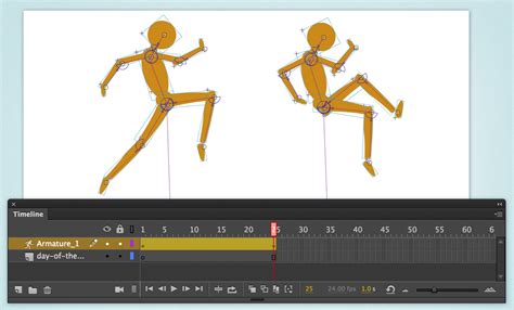 Basic tools in Animate