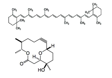 Solved Give the hybridization of each carbon atom for the | Chegg.com