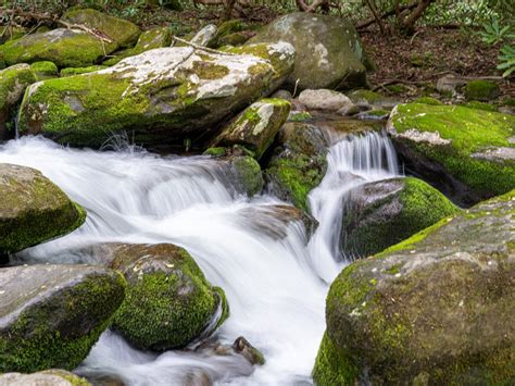 Hiking in Gatlinburg - A Guide To The Best 23 Trails In The Smokies