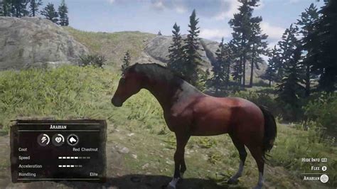 Red Dead Redemption 2 Horses: A Complete Guide - Game Specifications