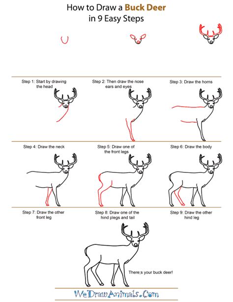 How To Draw A Deer Head Step By Step Easy