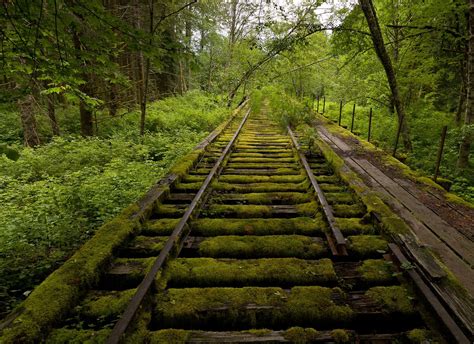 Abandoned Rail | Abandoned train, Train tracks, Abandoned places