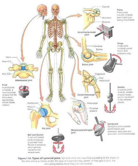 Pin en Massage therapy