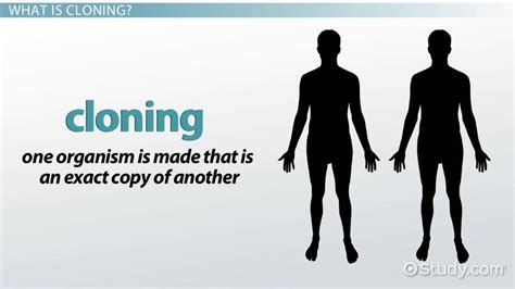 🌷 Advantages of human cloning. Reproductive Cloning: Advantages ...