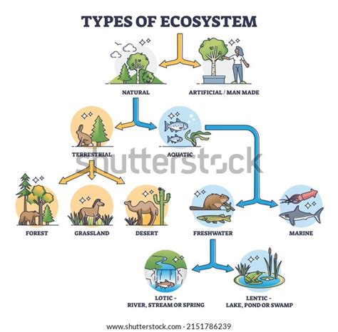 481 Diagram Habitat Images, Stock Photos & Vectors | Shutterstock