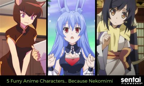 5 Furry Anime Characters… Because Nekomimi - Sentai Filmworks