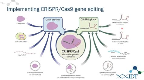 Systemic Nanoparticle Delivery Of Crispr Cas9 Ribonucleoproteins - ZOHAL