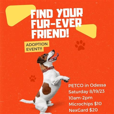 PETCO Adoption Event , Petco (Odessa), 19 August 2023 | AllEvents.in