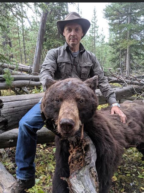 Montana Bear Hunting Outfitters | Bob Marshall Wilderness | Lincoln, MT