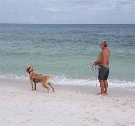 Pensacola Beach East Dog Park - All You Need to Know BEFORE You Go (2024)