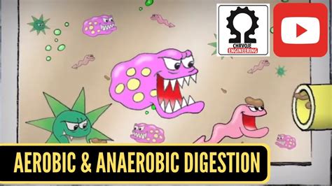 Aerobic Digestion and Anaerobic Digestion - YouTube